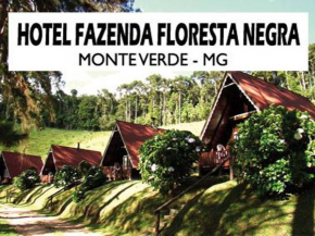 Отель Hotel Fazenda Floresta Negra   Монте-Верде